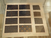 /album/a188/p1010048-male-jpg15/